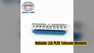 LSA PLUS 10 Pair Telecom Module Reliable Connectivity