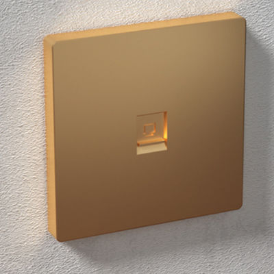 ANSHI 86 Typ 2 Ports Gesichtsplatte mit Goldsprühen & mit Verschluss